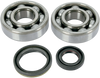 Hot Rods Crankshaft Bearings - Suzuki K042