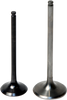 Intake Valve - Titanium - Honda 8400002-2