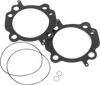 Revolution Performance, Llc Gasket Kit - 113" - Twin Cam Rp10085-030-Hb