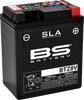 Bs Battery Battery - Btz8V (Yt) 300890