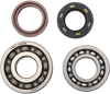 Hot Rods Crankshaft Bearings - Yamaha K017