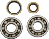 Hot Rods Crankshaft Bearings - Suzuki K006
