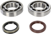 Hot Rods Crankshaft Bearings - Suzuki K074