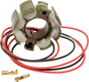 Rick'S Motorsport Electric Stator - Suzuki 21-811