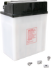 Yuasa Battery - Yb12C-A Yuam222Ca