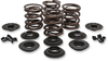Kibblewhite Valve Spring Kit - Big Twin 20-20435