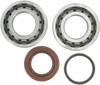 Hot Rods Crankshaft Bearings - Ktm K067