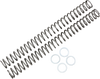 Race Tech Fork Springs - 0.48 Kg/Mm Frsp 444748