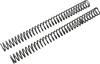 Race Tech Fork Springs - 0.42 Kg/Mm Frsp 434942