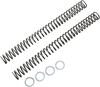 Race Tech Fork Springs - 0.38 Kg/Mm Frsp 444838