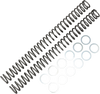 Race Tech Fork Springs - 0.44 Kg/Mm Frsp 414644