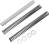 Race Tech Fork Springs - 0.90 Kg/Mm Frsp S3234090