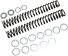 Race Tech Fork Springs - 1.20 Kg/Mm Frsp S4031120
