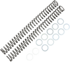 Race Tech Fork Springs - 0.46 Kg/Mm Frsp 434646