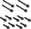 Arlen Ness Hardware Kit Titanuim 12Pt Primary Cover Black 300-930