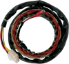 Rick'S Motorsport Electric Stator - Honda 21-101