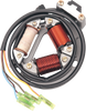 Rick'S Motorsport Electric High-Output Stator - Suzuki 21-802H