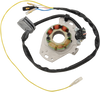 Rick'S Motorsport Electric Stator - Honda 21-603H