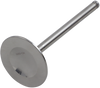 Del West Intake Valve Dw-Ltr450-Iv11