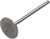 Del West Intake Valve Dwyfz450R22Iv03
