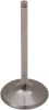 Del West Intake Valve Dw-Crf450R-Iv09