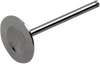 Del West Intake Valve Dw-Ltr4501Iv11