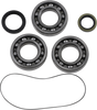 Hot Rods Crankshaft Main Bearings And Seal - Polaris Hr00009