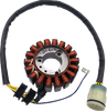 Rick'S Motorsport Electric Stator - Honda 21-650