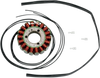 Rick'S Motorsport Electric Stator - Suzuki 21-309