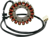 Rick'S Motorsport Electric Stator - Honda 21-138