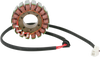 Rick'S Motorsport Electric Stator - Ducati 21-009