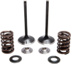 Kibblewhite Spring Kit - Stainless Steel 30-31230
