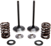 Kibblewhite Intake Spring Kit 30-33200
