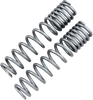 High Lifter Shock Springs - Rear - Silver 79-13869