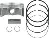 Wsm Piston Kit - 100.46 Mm - Sea-Doo 010-862-05K