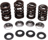 Kibblewhite Valve Spring Kit 30-30920