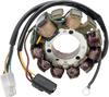 Rick'S Motorsport Electric Stator - Arctic Cat 24-002