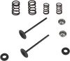 Kibblewhite Valve Spring Kit 96-96450