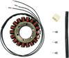 Rick'S Motorsport Electric Stator - Honda 21-127