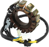 Rick'S Motorsport Electric Stator - Suzuki 21-824