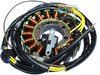 Rick'S Motorsport Electric Stator - Polaris 21-560