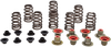 Kibblewhite Valve Spring Kit 82-82550