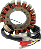 Rick'S Motorsport Electric Stator - Honda 21-616H