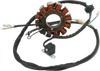 Rick'S Motorsport Electric Stator 21-562