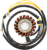 Rick'S Motorsport Electric Stator 21-567