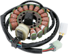 Rick'S Motorsport Electric Stator - Yamaha 21-916