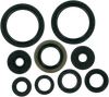 Moose Racing Motor Seals 822316Mse
