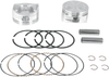 Piston Kit - For 100" & 107" Super Sidewinder - 4.0" - +.010 92-1401