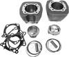 Revolution Performance, Llc Cylinder Kit - 117" - Granite/Highlighted Fins Rp201-171Wg