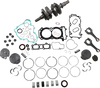 Engine Rebuild Kit - Polaris Wr00054